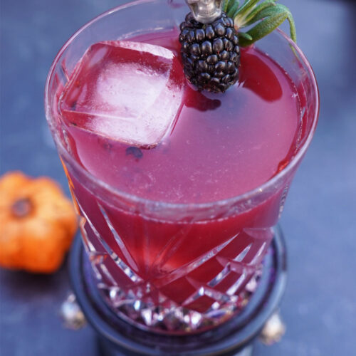 Blackberry-Rosemary-Margarita