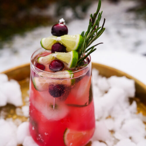 Cranberry Mojito | Holiday Cocktail Recipe | Bjorn Bites & Booze