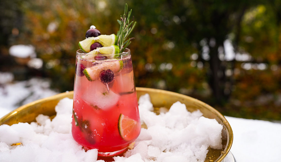 Cranberry Mojito – a Holiday Cocktail