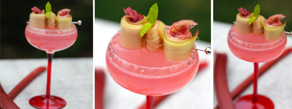 Rhubarb Spring Cocktail | Bjorn Bites & Booze