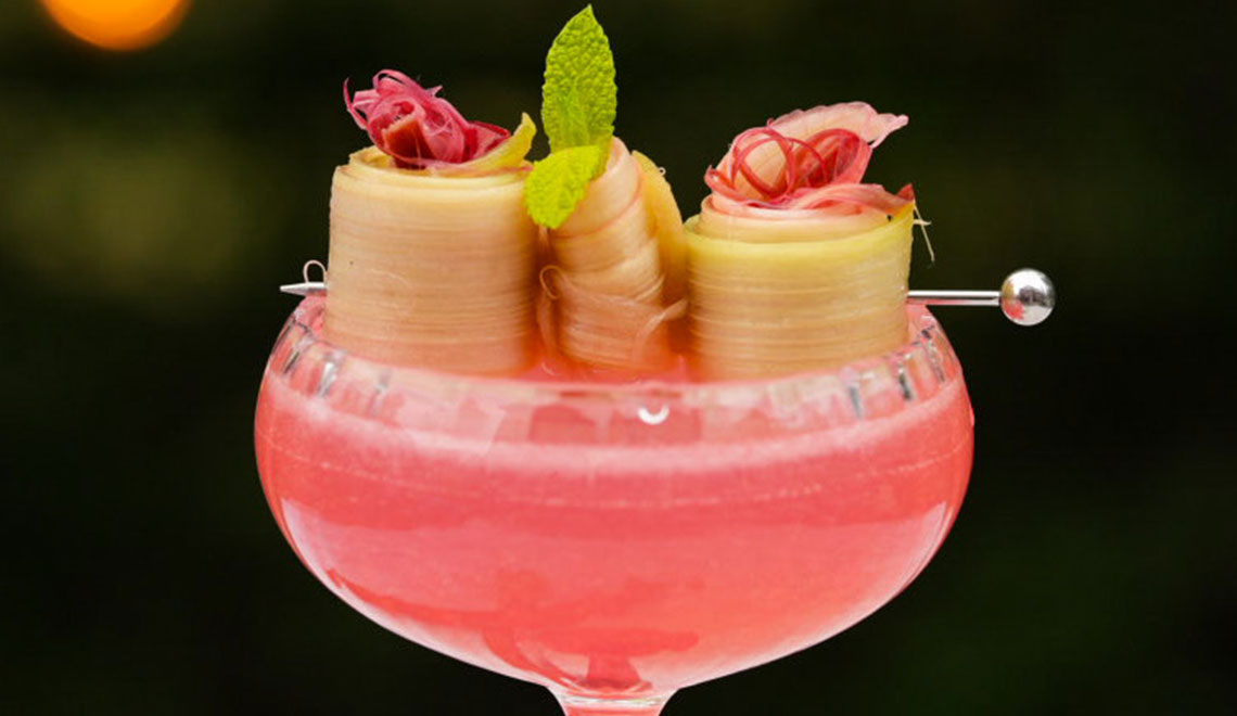 Rhubarb Spring Cocktail