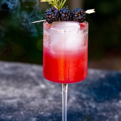 Blackberry Rosemary Nordic Spritz | Bjorn Bites & Booze