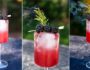 Blackberry Rosemary Spritz Cocktail | Bjorn Bites & Booze